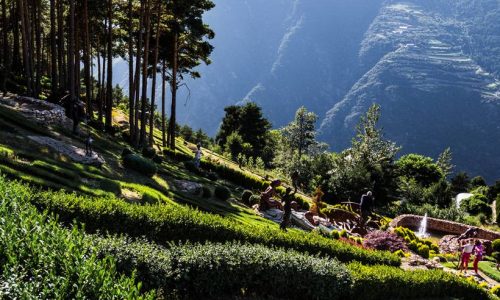jardins de juberri